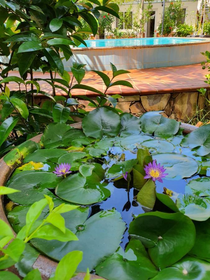 Blue Paradise Bungalow Που Κουόκ Εξωτερικό φωτογραφία